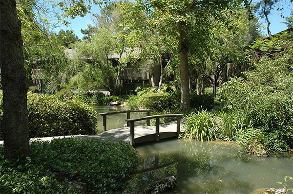 7955 Magnolia Avenue